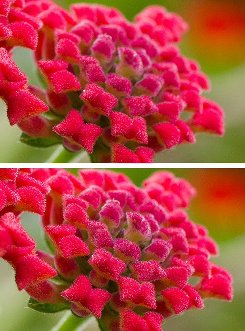 130813_NAT_005-006-diptych3-LR500