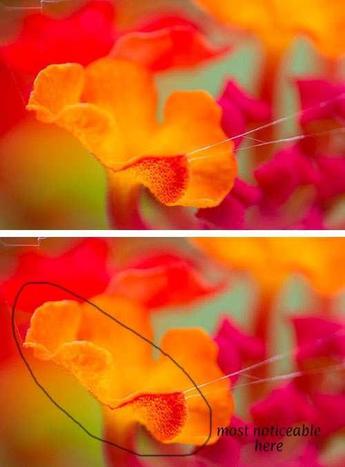 130813_NAT_026-027-diptych-LR500