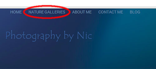 home-page-circle-c_hp-LR500