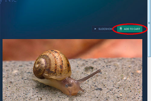 snail-gallery-cart-c_hp-LR500