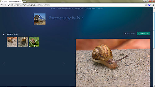 snail-gallery_hp-LR500