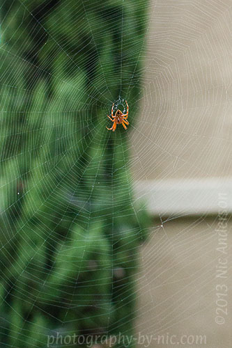 130920_NAT_015_hp-LR500-wm