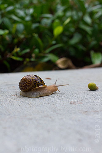 130920_NAT_022_hp-LR500-wm