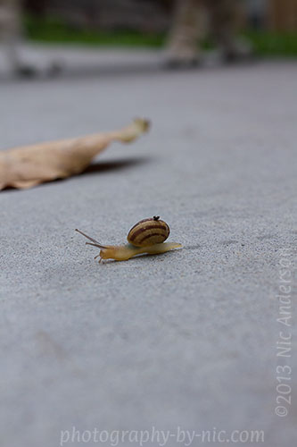 130920_NAT_025_hp-LR500-wm