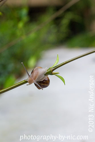 130920_NAT_030_hp-LR500-wm