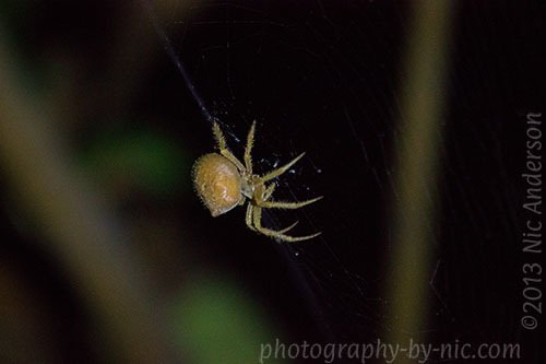 131008_NAT_034_hp-LR500-wm