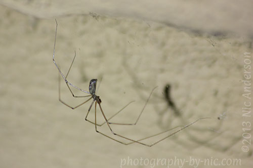 131008_NAT_075_hp-LR500-wm