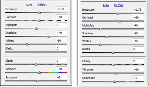 camera-raw-c2-LR-500