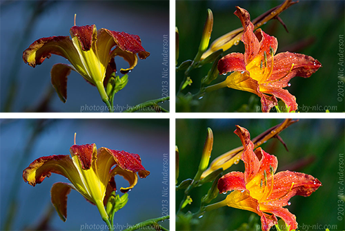 camera-raw-tweaks-LR500