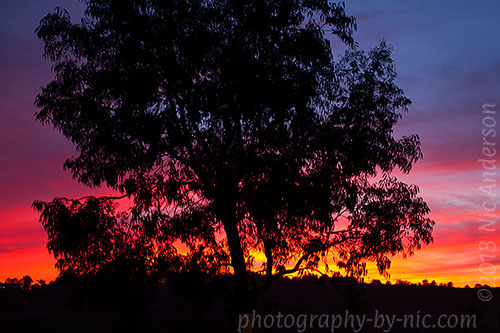 fiery sunset - center