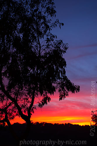 fiery sunset - right