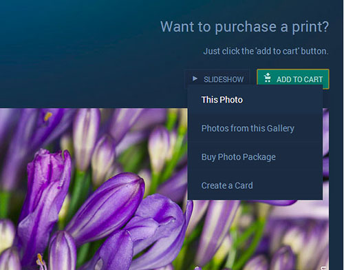 canvas-how-to-buy-step1-2