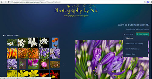 canvas-how-to-buy-step1