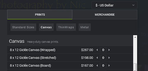 canvas-how-to-buy-step2-2