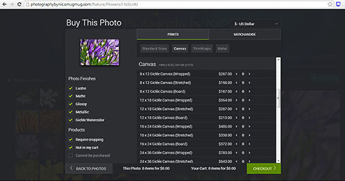 canvas-how-to-buy-step2