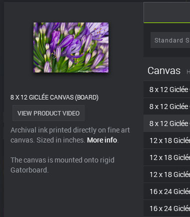 canvas-how-to-buy-step3-2