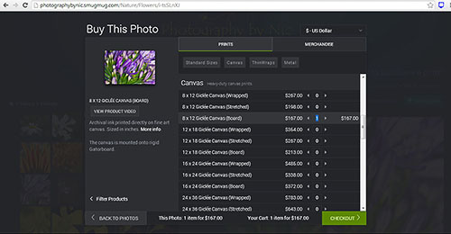 canvas-how-to-buy-step3