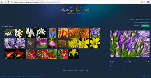 flower-gallery