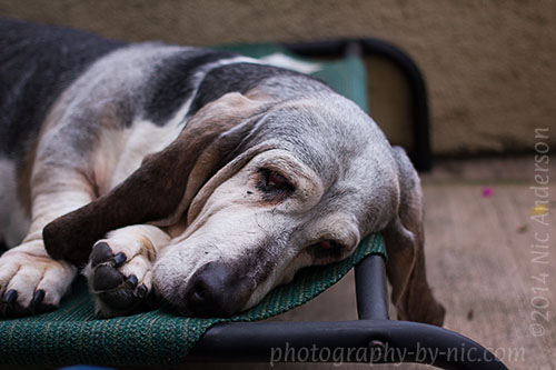 140128_NAT_019_hp-LR500-wm