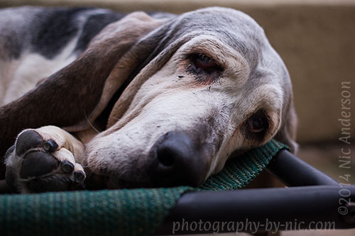 140128_NAT_020_hp-LR500-wm