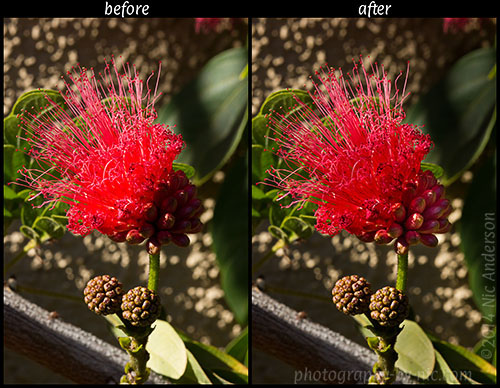 camera-raw-comp_hp-LR500-wm