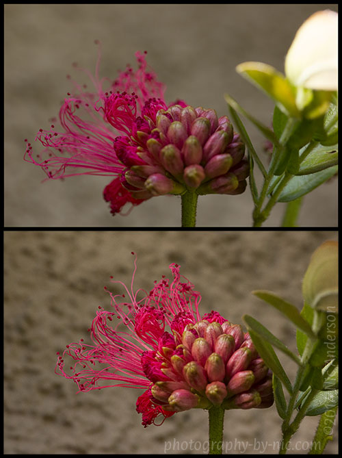 diffuser-gold-reflector-2_hp-LR500