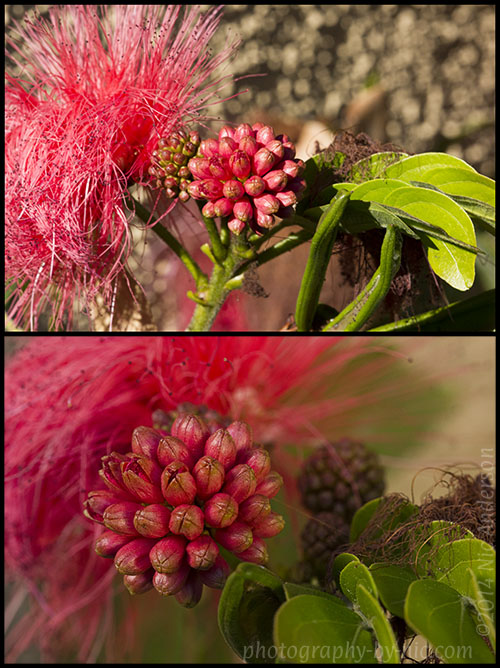 diffuser-gold-reflector-3_hp-LR500