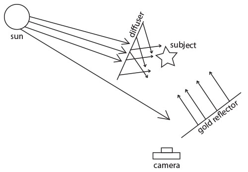 diffuser/gold reflector diagram