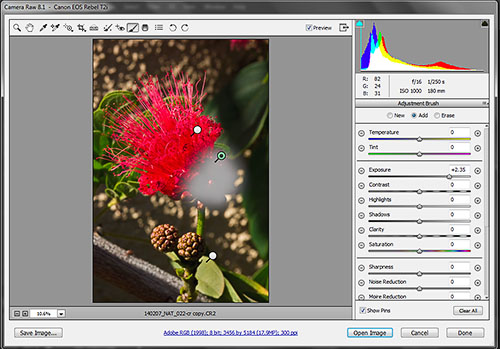 step-3-lighten-bud_hp-LR500