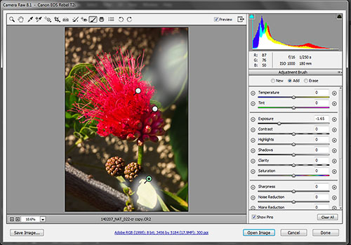 step-4-darken-leaves_hp-LR500