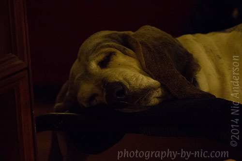 f/3.5 1/200s iso6400