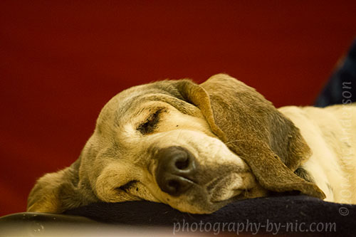 f/3.5 1/15s iso6400 corrected in post: exposure -1