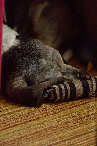 corrected in post: +1 exposure