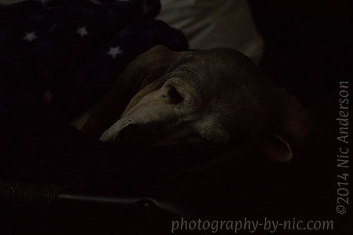 f/3.5 1/250s iso6400