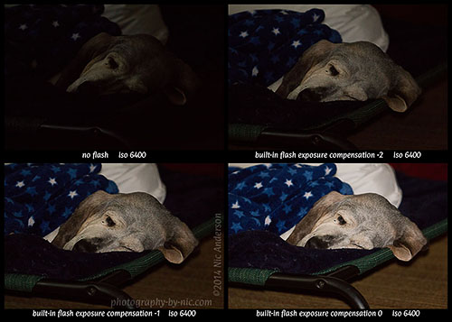 pup-polytych-text-wm_hp-LR500