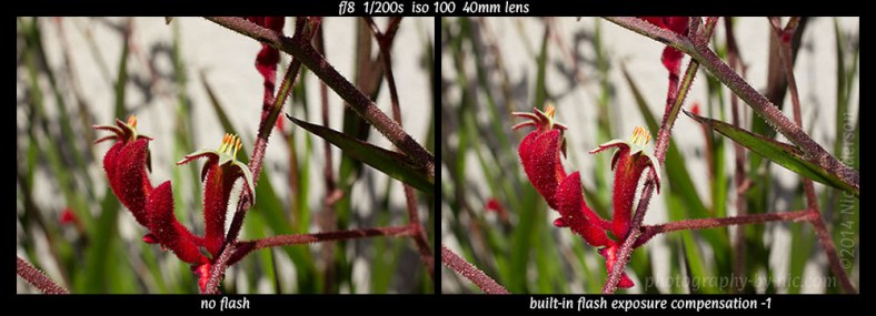 140521_NAT_340-341-wm-LR1000