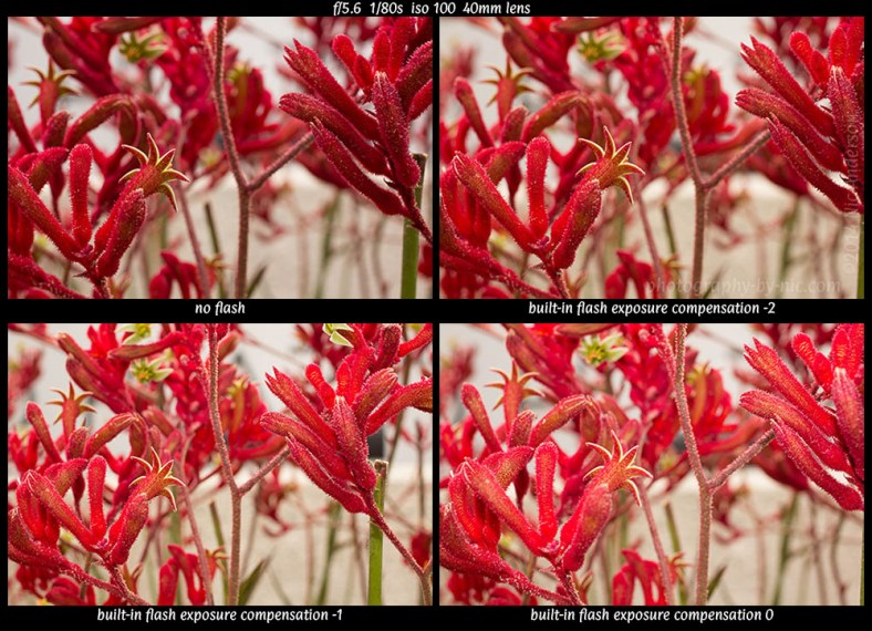 140522_NAT_376-379-wm-LR1000