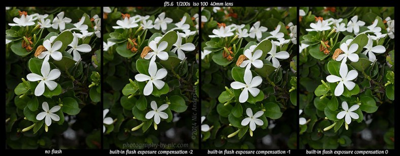 140522_NAT_400-403-wm-LR1000