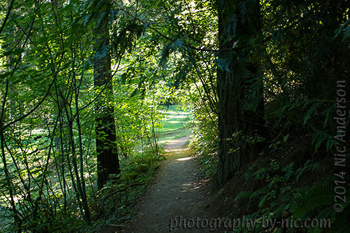 hoyt arboretum - path