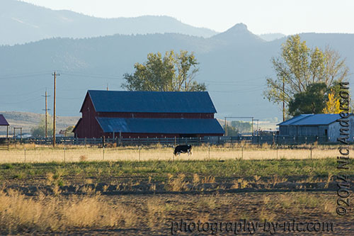 lens 70-300mm -- focal-length 190mm