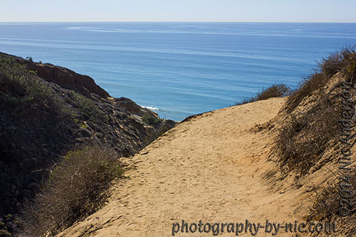 torrey pines state reserve - guy fleming trail