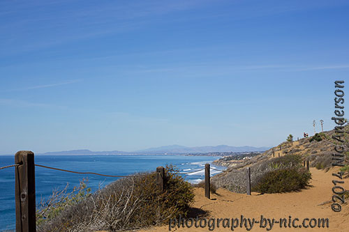torrey pines state reserve - oceanview