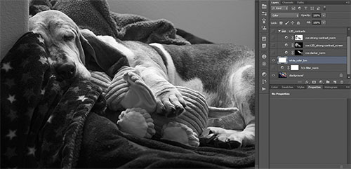 0-white_color_bm-LR500-cmb