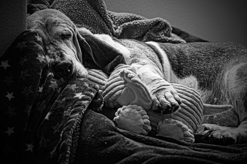 1-desaturation-LR500