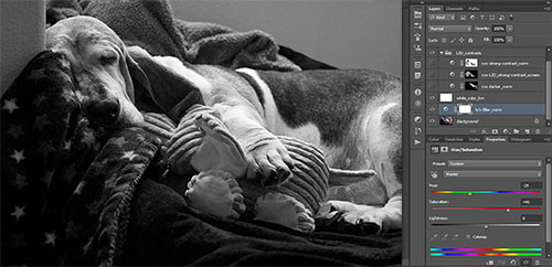 1-hue-sat_filter-norm-photo-LR500-cmb