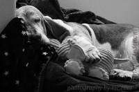 bw-green-and-yellow-filter_hp-LR500-wm