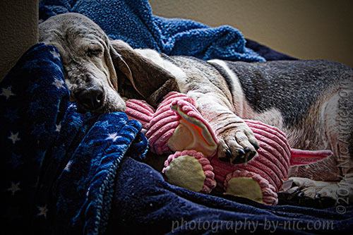 high contrast - one four dec challenge