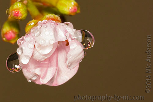 3-141203_NAT_056-mask_hp-LR500-wm