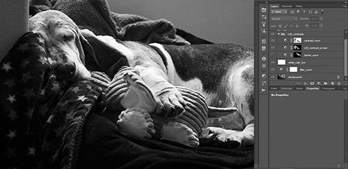 3-2-all-layers-before-darkening-paw-LR500-cmb