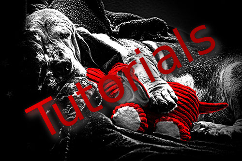 120602_PUP_001-sin-city2_hp-LR500-tutorials